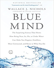 Blue Mind: The Surprising Science That Shows How Being Near, In, On, or Under Water Can Make You Happier, Healthier, More Connected, and Better at What You Do image